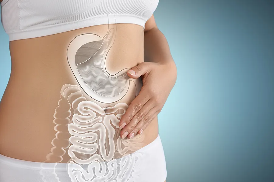 Gut-Health-Doctor Close up of the midriff of a woman with white underwear and an illustration of the digestive system superimposed over the image. Get help for digestive issues and gut health from Markham Natural Health Centre in Greater Toronto.