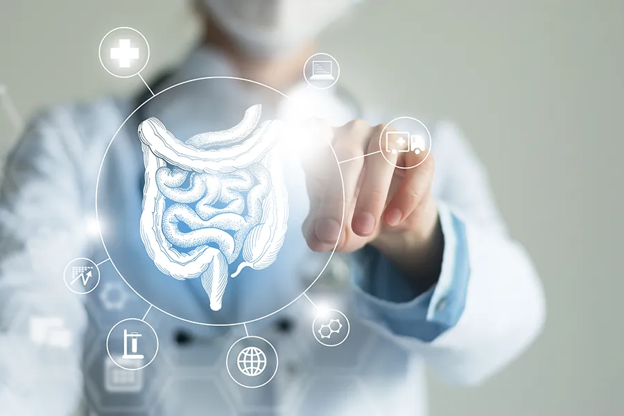Microbiome-Testing-Clinic A clinician interacts with a 3D illustration of a digestive system. Schedule microbiome testing from Markham Natural Health Centre in Greater Toronto.