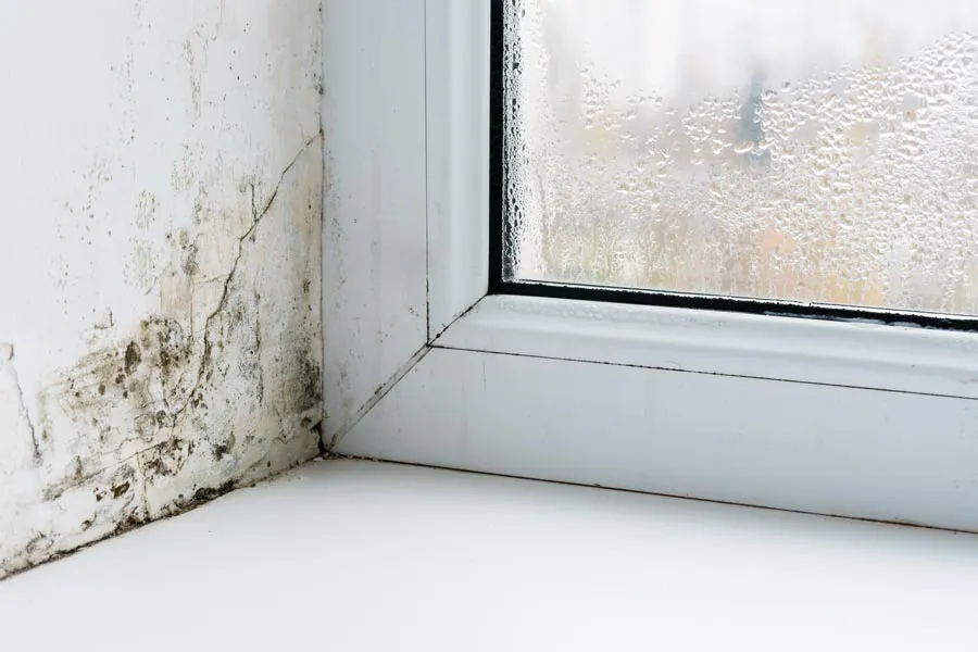 Mold-and-Mycotoxin-Clinic Mold buildup in the corner of a window sill. Get treatment for mold and mycotoxin illness from Markham Natural Health Centre in Greater Toronto.
