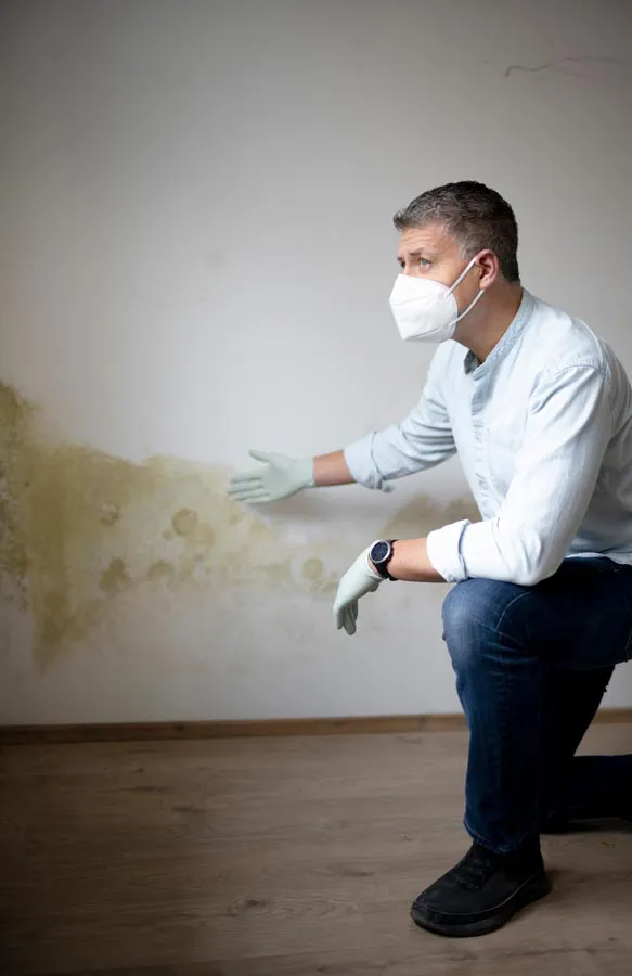 Mold-and-Mycotoxin-Treatment A building professional in a protective mask points out mold damage on a wall. Get treatment for mold and mycotoxin illness from Markham Natural Health Centre in Greater Toronto.