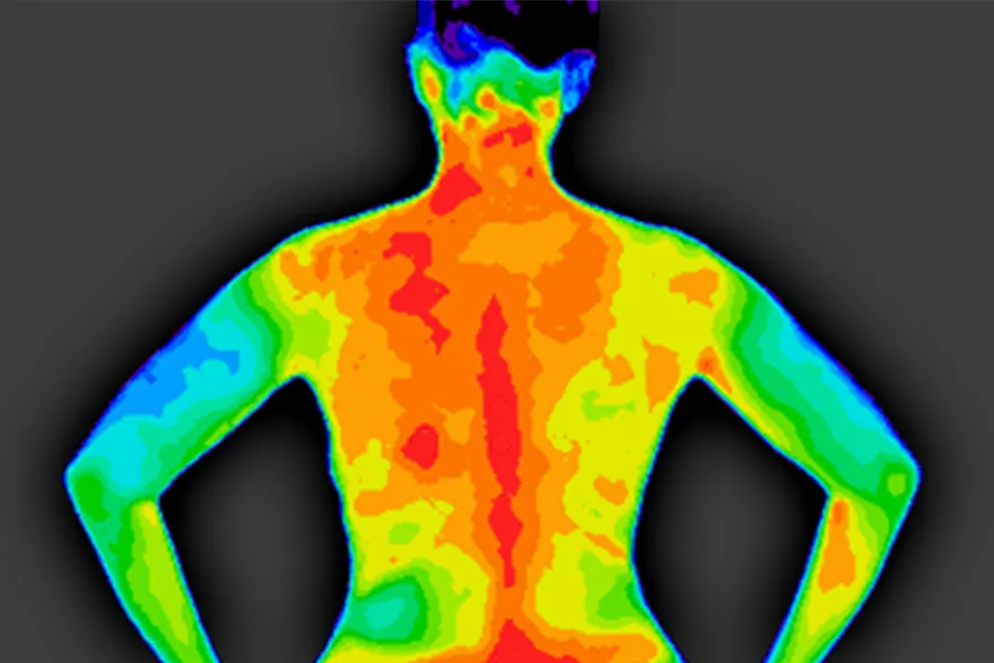 Thermometry-Clinic Thermal imaging of a woman. Get Whole-Body Regulation Thermometry from Markham Natural Health Centre in Greater Toronto.